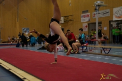 geraetecup-2013-28