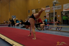 geraetecup-2013-29
