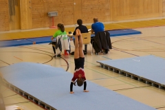 Herbst Cup 2017 13
