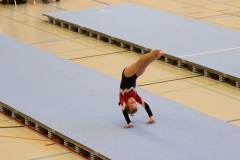 Herbst Cup 2017 23