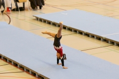 Herbst Cup 2017 25