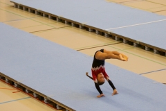 Herbst Cup 2017 26