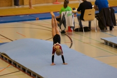 Herbst Cup 2017 28