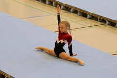 Herbst Cup 2017 31