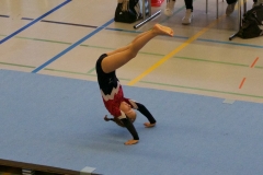 Herbst Cup 2017 79
