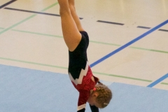 Herbst Cup 2017 80