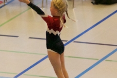 Herbst Cup 2017 83