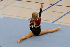 Herbst Cup 2017 84