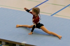 Herbst Cup 2017 85