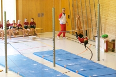 Herbst Cup 2017 95