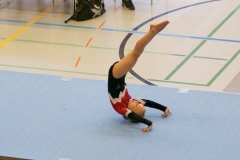 Herbst Cup 2017 96