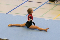 Herbst Cup 2017 99