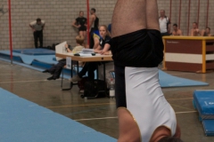 landesmeisterschaft-2012-15