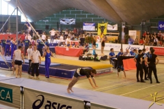 SM 2016 David 14