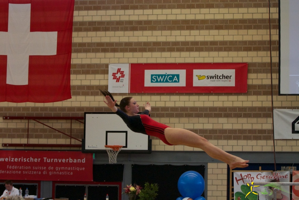 sm-baar-2012-30