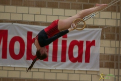 sm-baar-2012-100