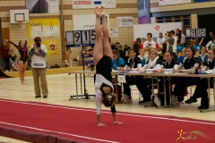 sm-baar-2012-110