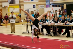 sm-baar-2012-111