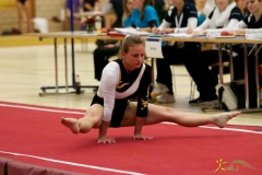 sm-baar-2012-112