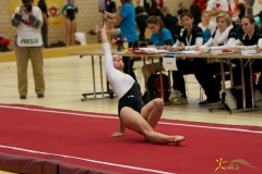 sm-baar-2012-113