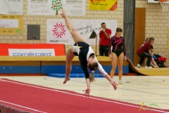 sm-baar-2012-114