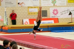 sm-baar-2012-115