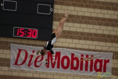 sm-baar-2012-14