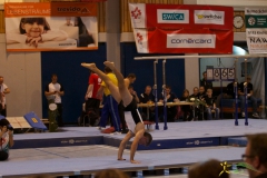 sm-bazenheid-2013-10