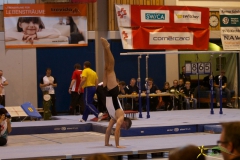 sm-bazenheid-2013-13