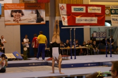 sm-bazenheid-2013-14