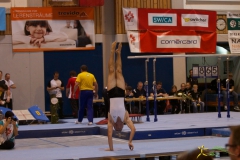 sm-bazenheid-2013-15
