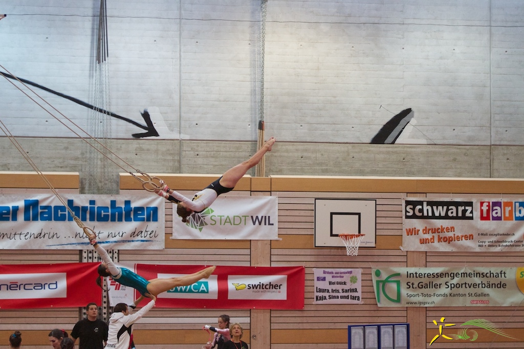 sm-wil-2013-131