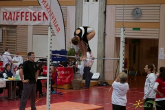 sm-wil-2013-117