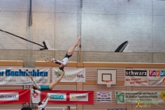 sm-wil-2013-132