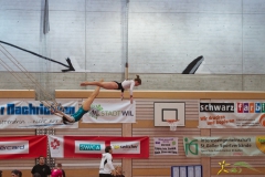 sm-wil-2013-137