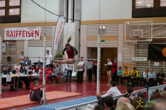 sm-wil-2013-158