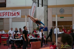 sm-wil-2013-17