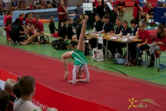 turnverein-getu-sm-romanshorn-2012-6