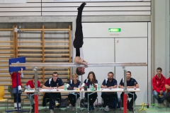sm-wohlen-2012-1