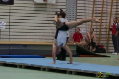 sm-wohlen-2012-2