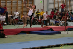 sm-wohlen-2012-35