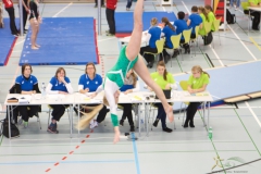 Turnverein Getu SMM Frauenfeld 2015 15