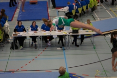 Turnverein Getu SMM Frauenfeld 2015 32
