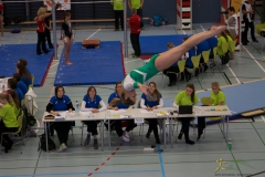 Turnverein Getu SMM Frauenfeld 2015 33