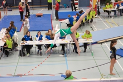 Turnverein Getu SMM Frauenfeld 2015 43