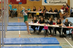 getu-smm-wettingen-2014-198